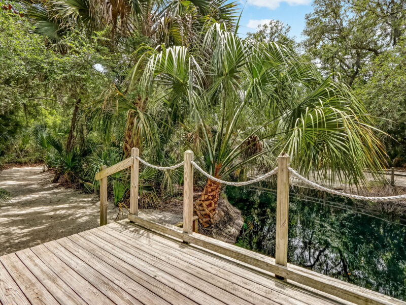 amelia island oceanfront 3 bedroom/2.5 bath windsong resort vacation rental walk to beach, pool