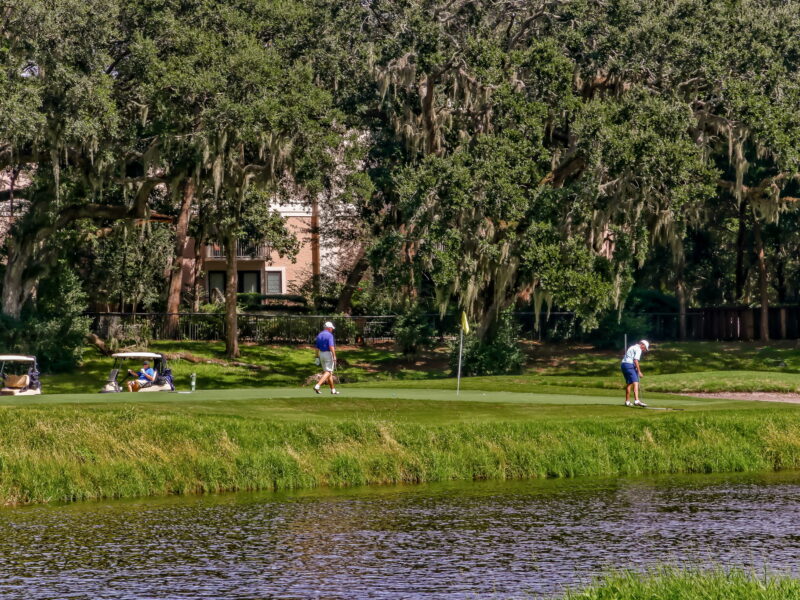 beautifully remodeled ocean front/views 2 brm/2 1/2 bth windsong condo southend resort on amelia island fl pet approval needed